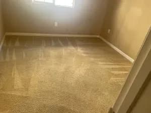 Freshly groomed carpet in an empty room