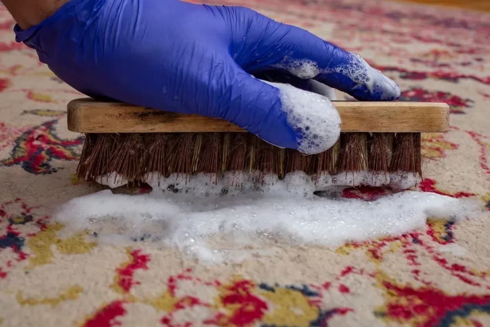 Hand scrubbing a red patterned area rug with a soft brush