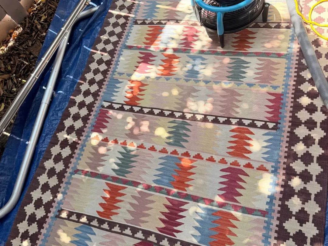 Patterned area rug laid out for cleaning on a protective sheet