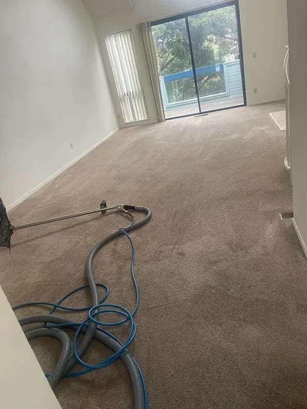 Carpet cleaning hose in a bedroom with freshly cleaned carpet