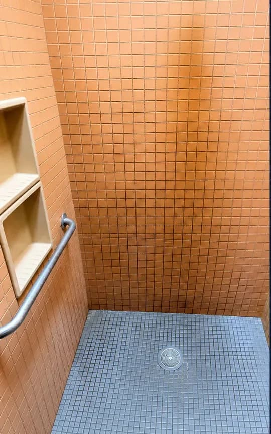 Before: tiled shower