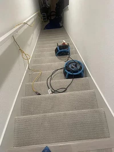 After: carpeted staircase