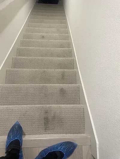 Before: carpeted staircase